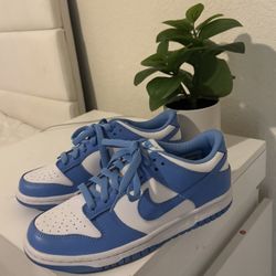 Nike Dunks 