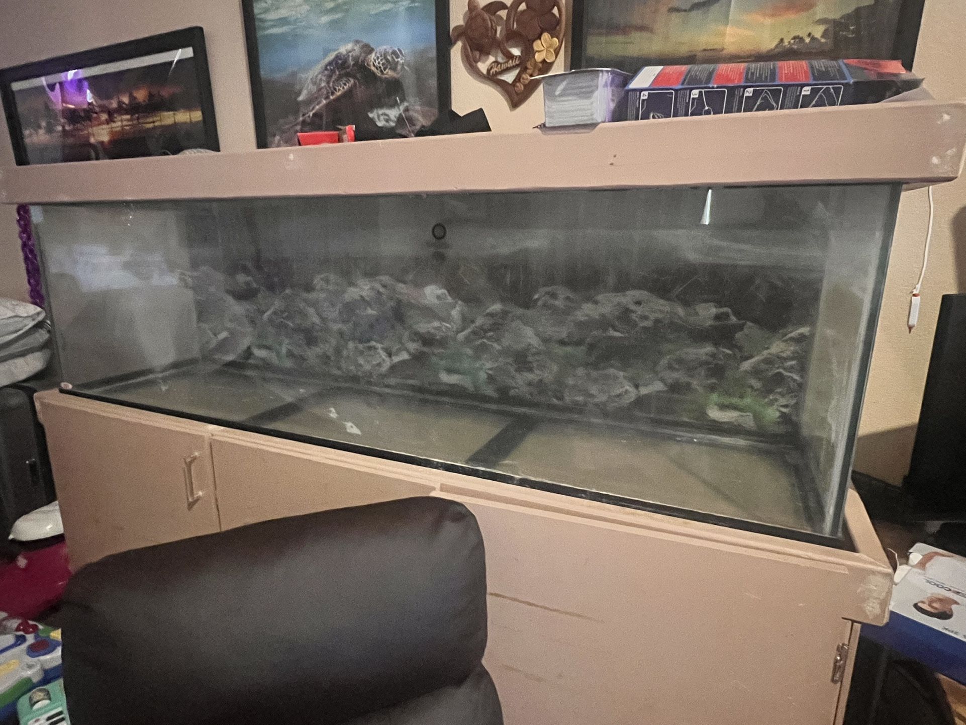 125 Gallon Fish Tank