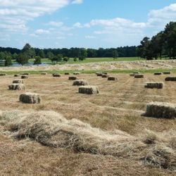  Horse Hay / Cow Hay
