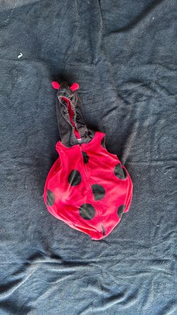 Lady bug costume 18mo Carter’s