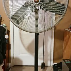 Fan