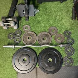weight plates & curl bar