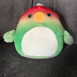 Elliene The Parrot Squishmallow 7.5”