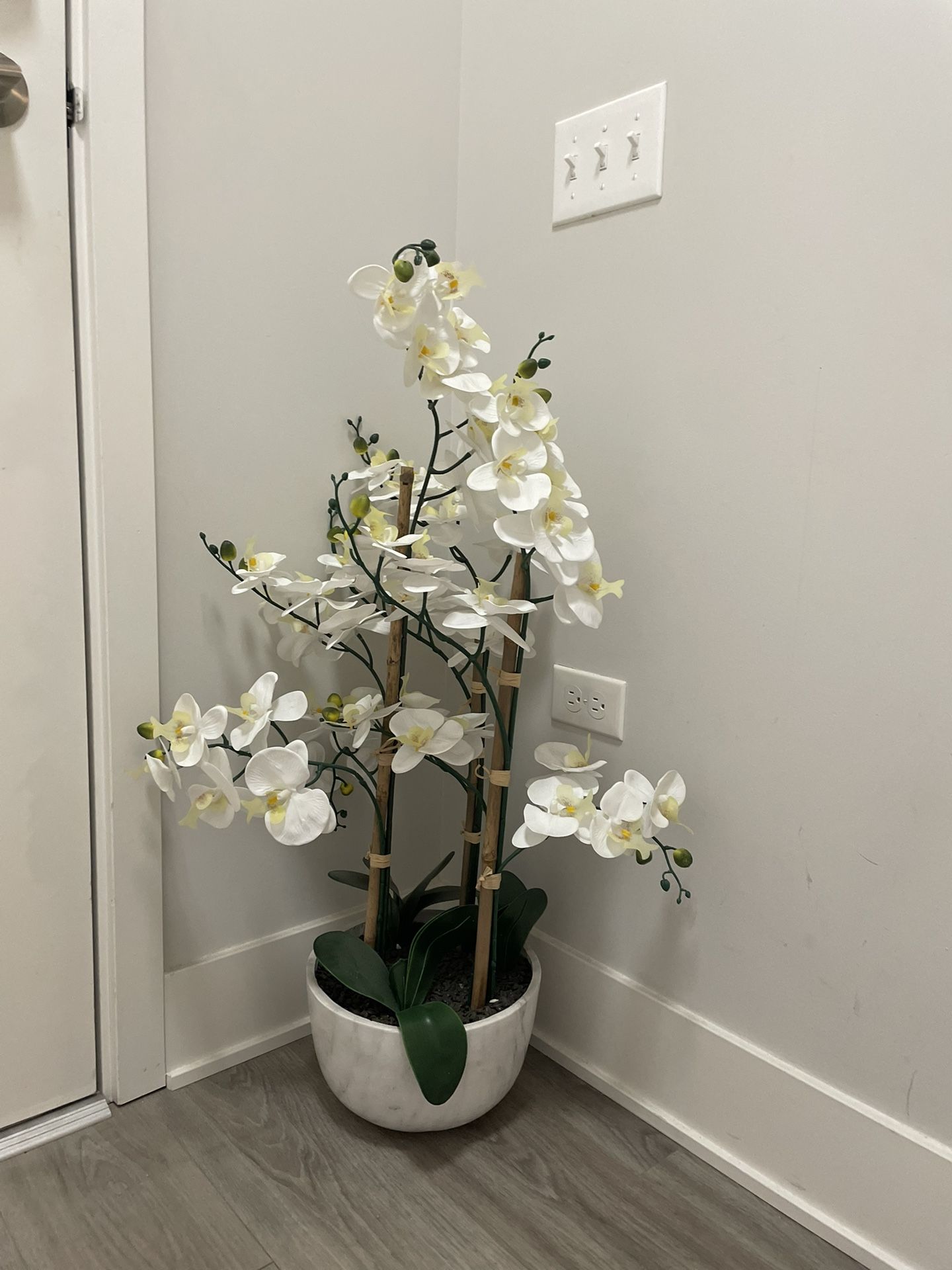 White Orchid Plant in Marble-Look Pot
