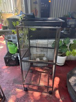 Ferret cage