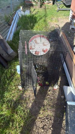Hamster cage
