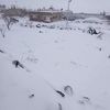 Aysar