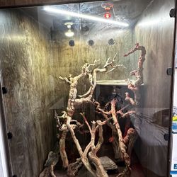 Reptile (Iguana) Cage