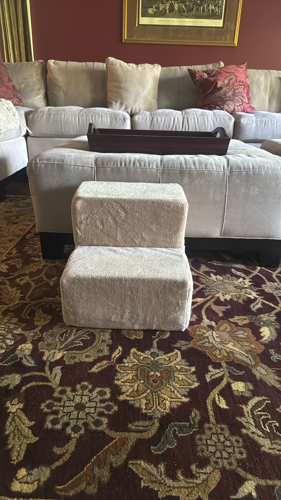 Pet Steps