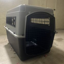 dog crate