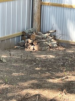 Firewood