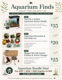 Fish Aquarium Supplies