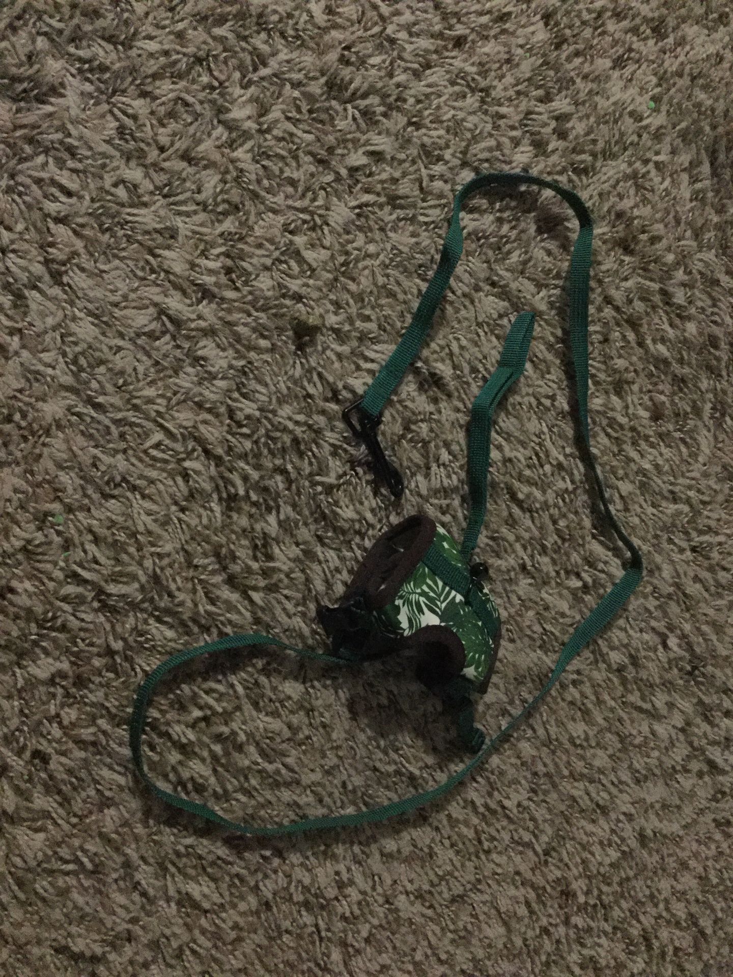 A Guinea pig, and other small pet leash.