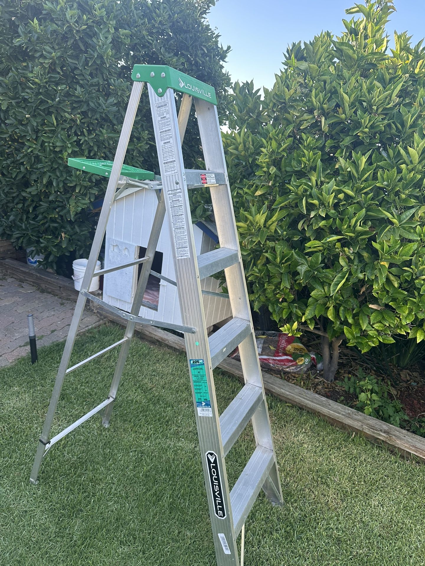6’ Louisville Ladder