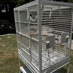 Bird Cage