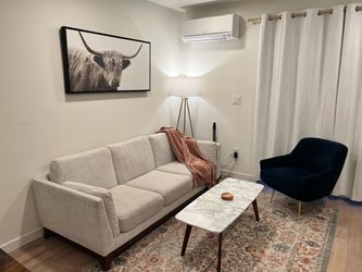 Light Gray Sofa
