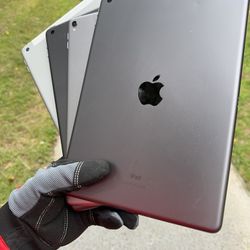 iPads 5 / 6 / 8 / Pro