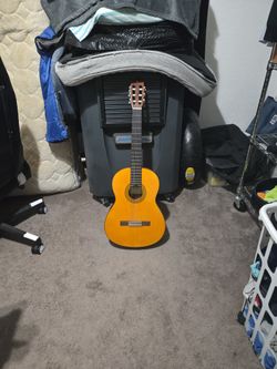 Guitar