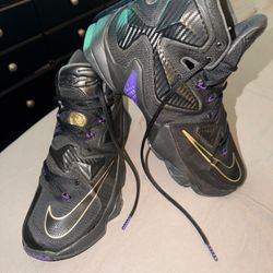 LeBron Nike Size 10.5