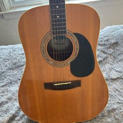 Mitchell D120 (acoustic)