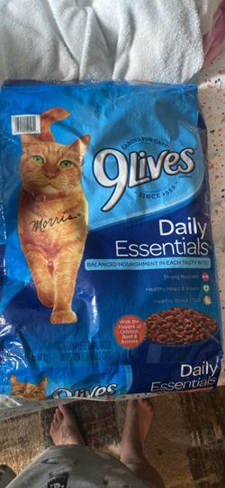 9  lives