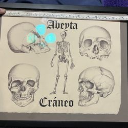 Abeyta Craneo Ink Drawing