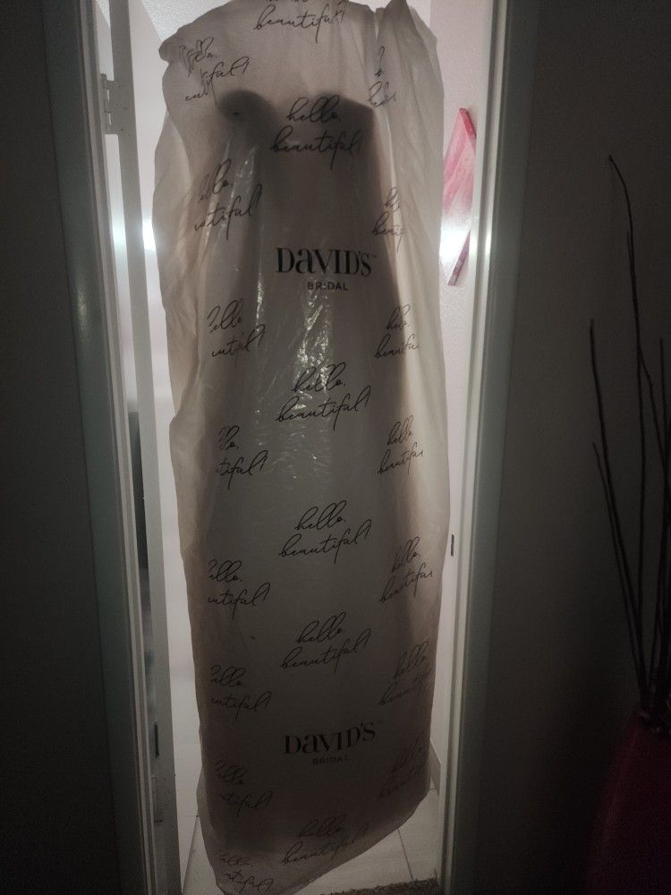 Wedding Dress Light Pink Brand New Never Worn Beautiful Dress