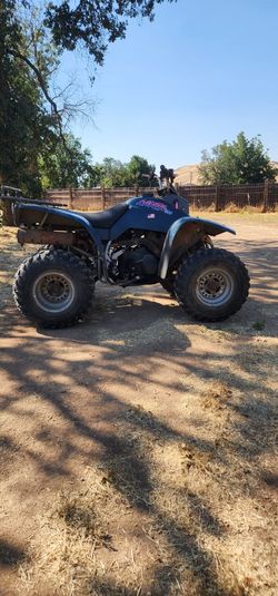 1995 Kawasaki Lakota 300 2wd 