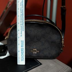 Coach Mini Serena Satchel