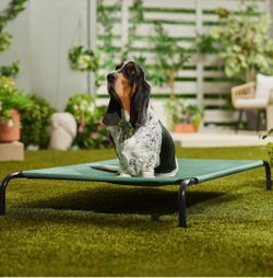 Large elevated dog bed