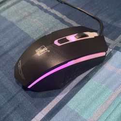 Mouse
