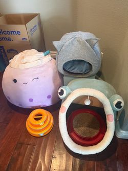 Cat Toy Bundle & Accessories