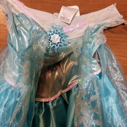 Elsa Costume Xs Girls