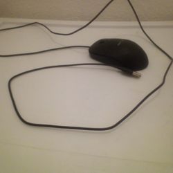 Mouse