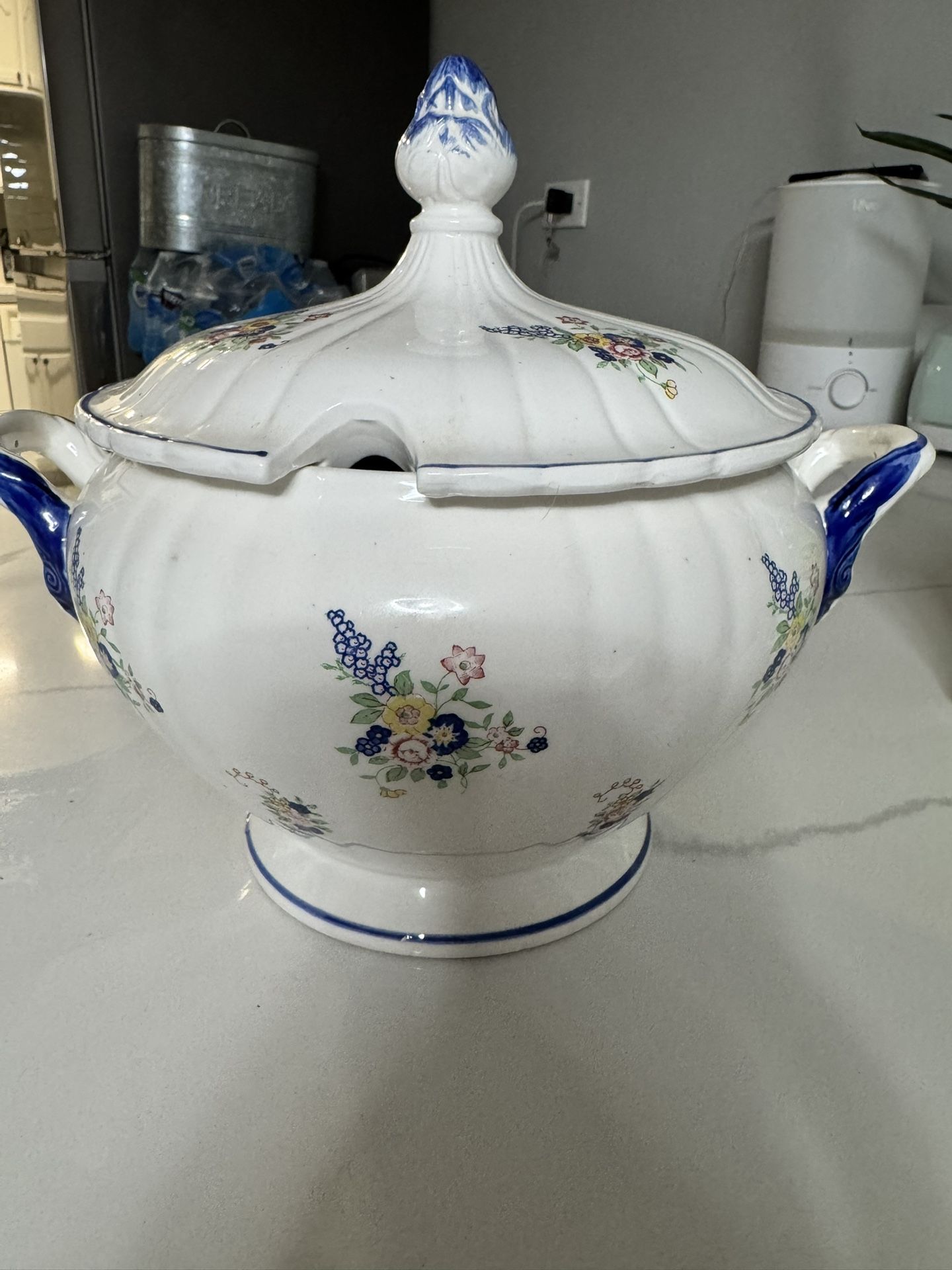Vintage Floral Porcelain Tureen