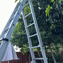 25 Feet Ladder 