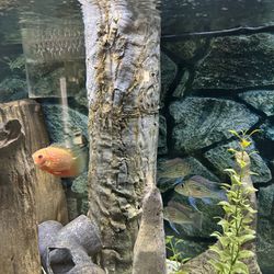 4 Artificial Aquarium Logs