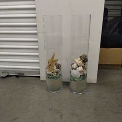 Seashell Decorations