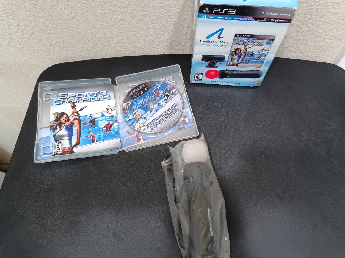 PS3 Motion Game