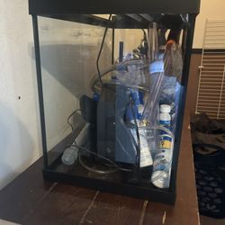 20 Gallon Fish Tank With Everything 