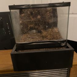 Zoo med 12x12 Terrarium 