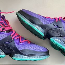 Nike LeBron 19s Size 10.5