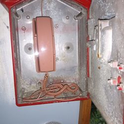 Throwback Fire Alarm Phone