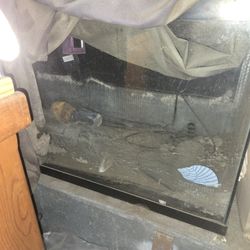 55 gallon reptile tank