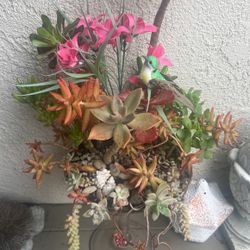 Beautiful Glass Vase Healthy Succullents. Just $25.