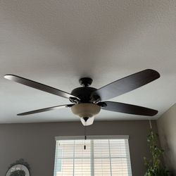 Ceiling Fan