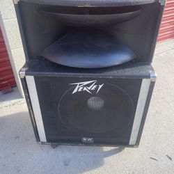 Peavey Speaker Set 