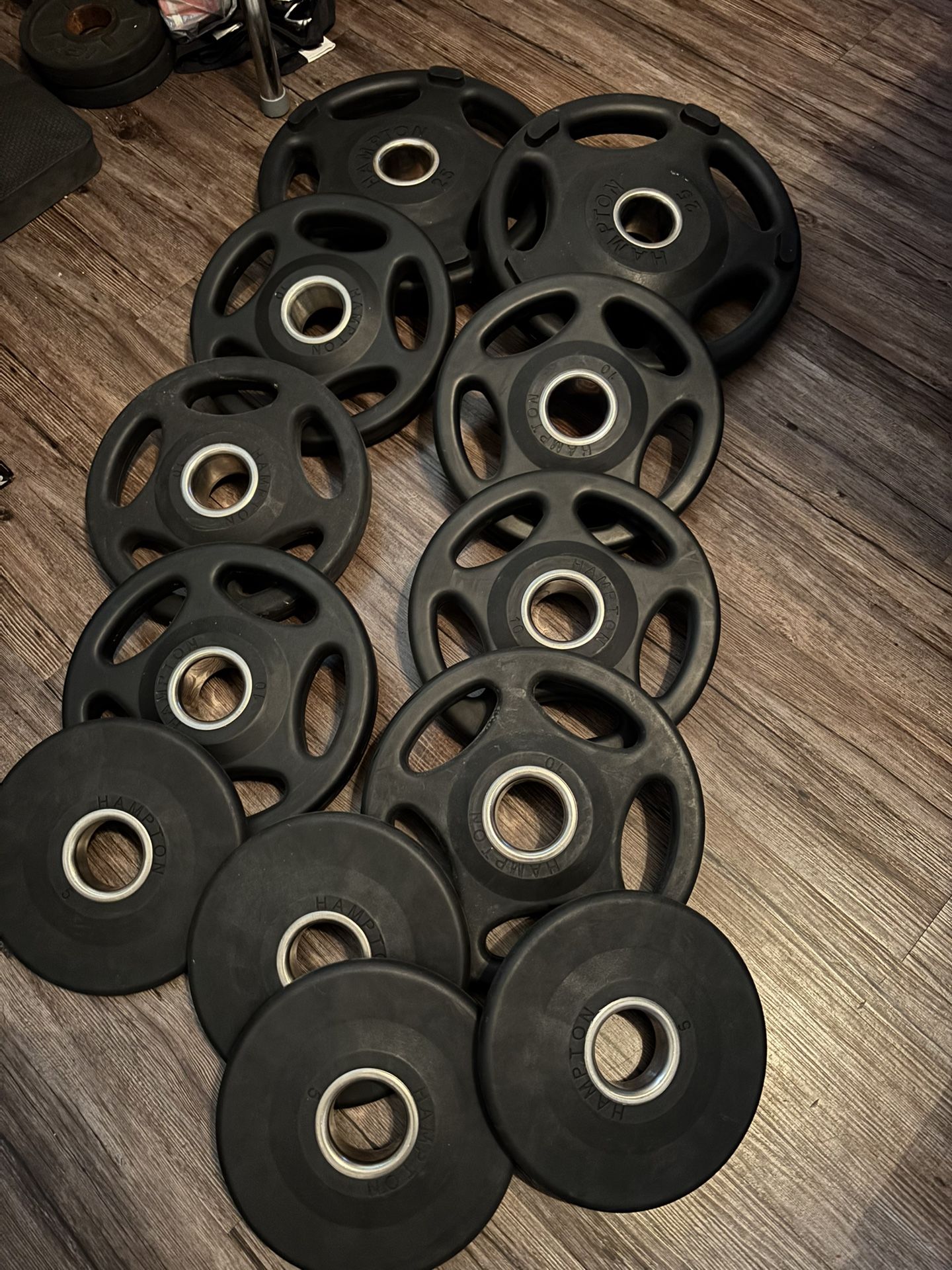 HAMPTON Urethane Weights 4x5, 6x10 And 2x25 Lbs In Great Condition $160