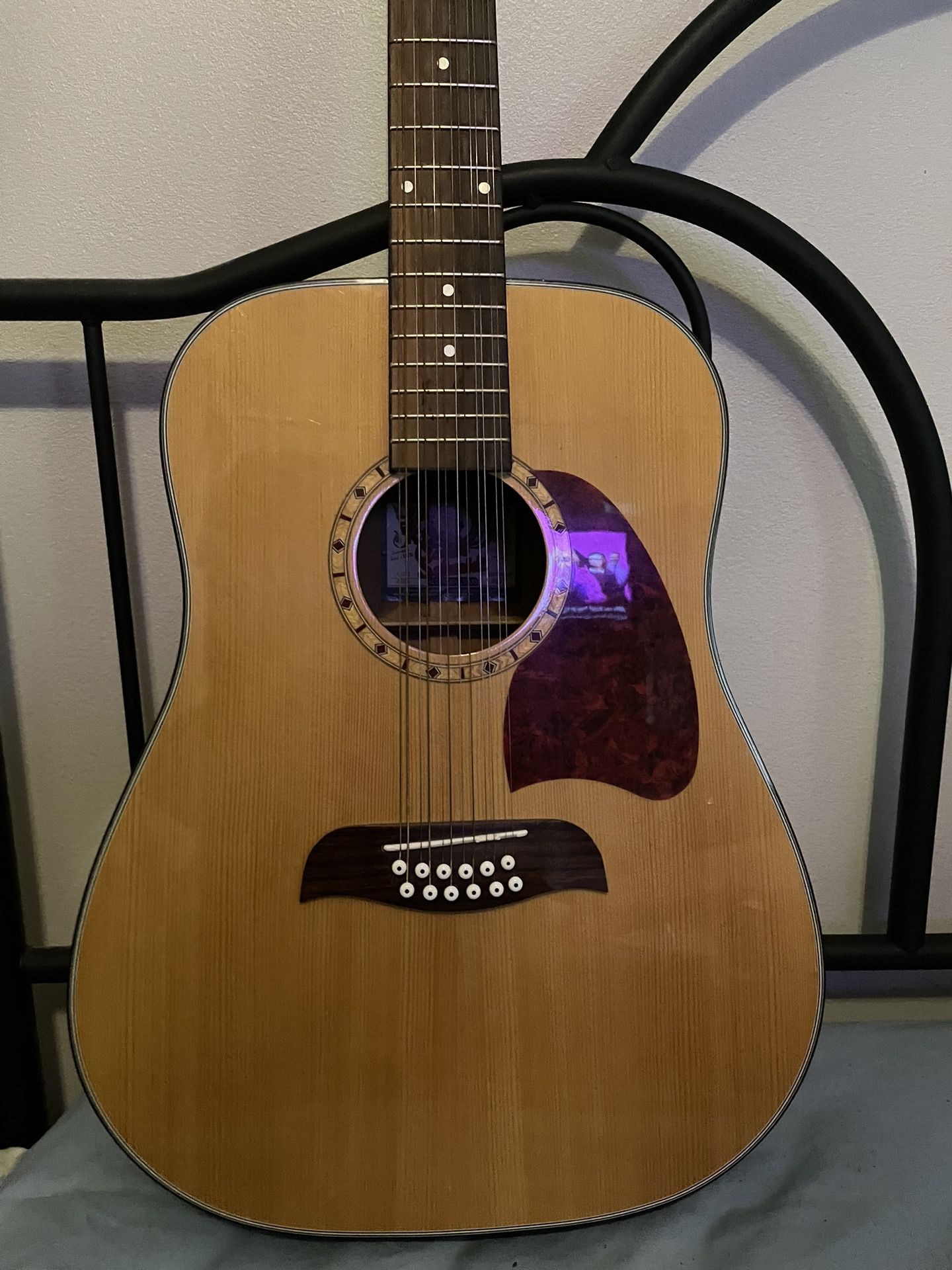 Washburn Acoustic 12 String Awesome Sound And Action Xlnt Condition 
