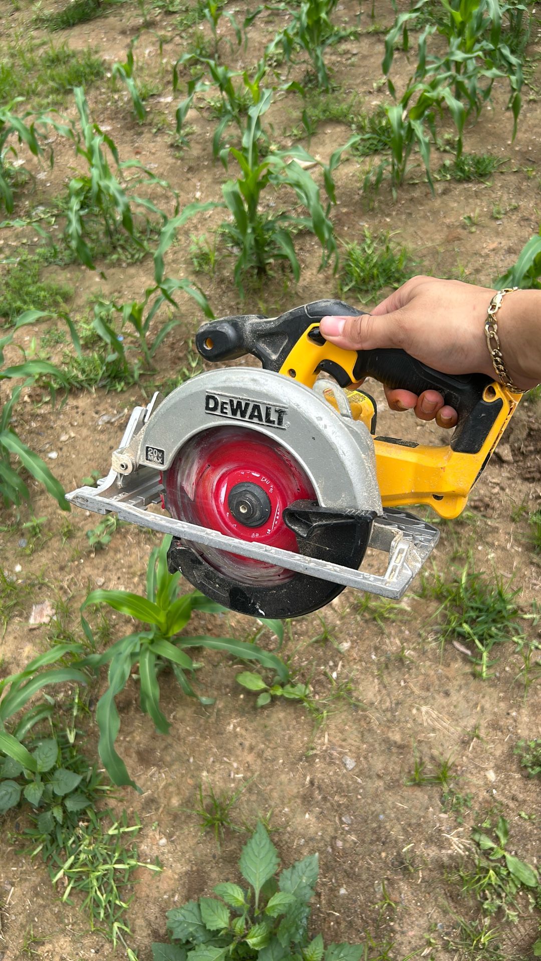 hand saw